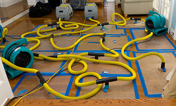 Professional Burst Pipe Water Damage technician working in Leesburg, OH